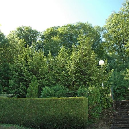 Hotel Et Studios D'Orfeuil Bourbonne-les-Bains Εξωτερικό φωτογραφία