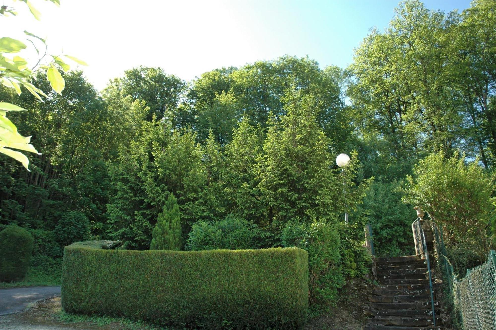 Hotel Et Studios D'Orfeuil Bourbonne-les-Bains Εξωτερικό φωτογραφία
