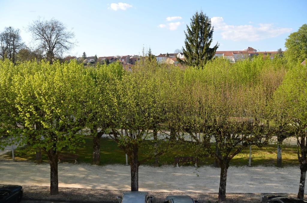 Hotel Et Studios D'Orfeuil Bourbonne-les-Bains Δωμάτιο φωτογραφία