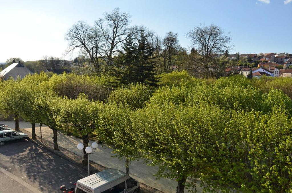 Hotel Et Studios D'Orfeuil Bourbonne-les-Bains Δωμάτιο φωτογραφία