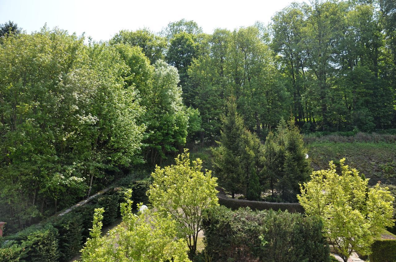 Hotel Et Studios D'Orfeuil Bourbonne-les-Bains Εξωτερικό φωτογραφία